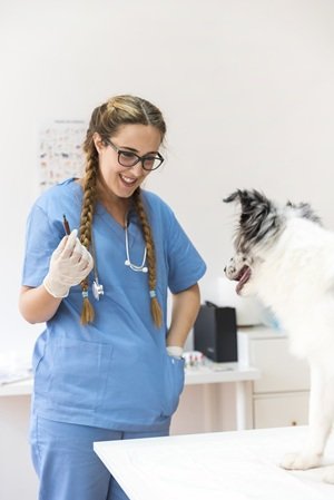 happy-female-vet-with-injection-looking-dog-table